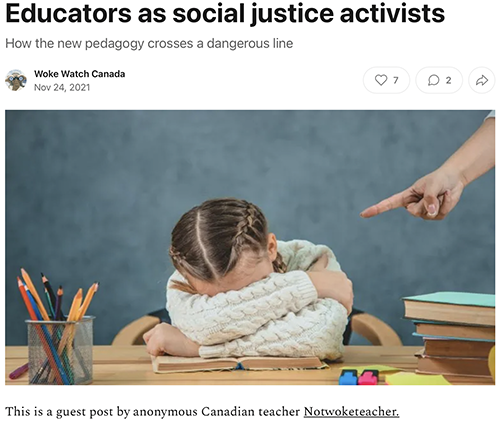 Educators as social justice activists.